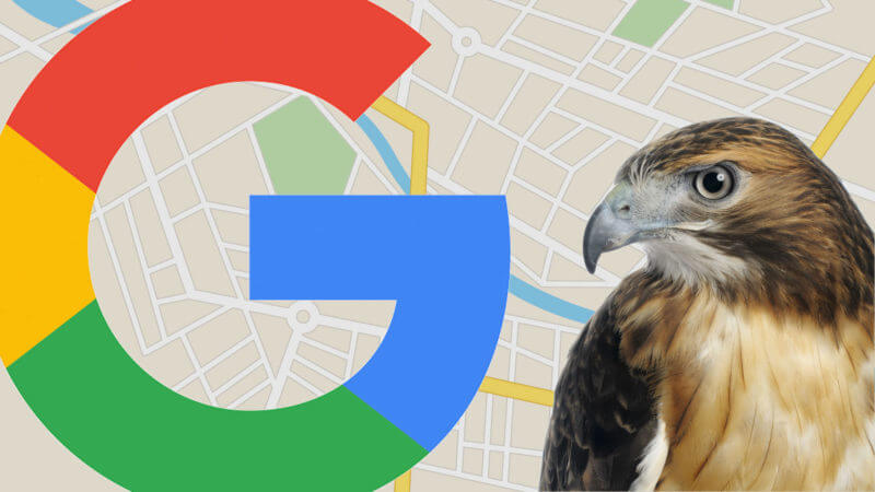 google-hawk